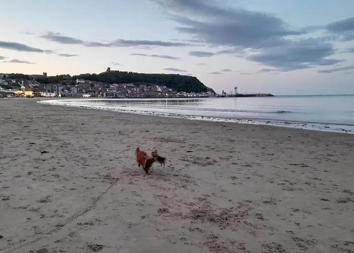 Edie's Hideaway 펜션 스카버러