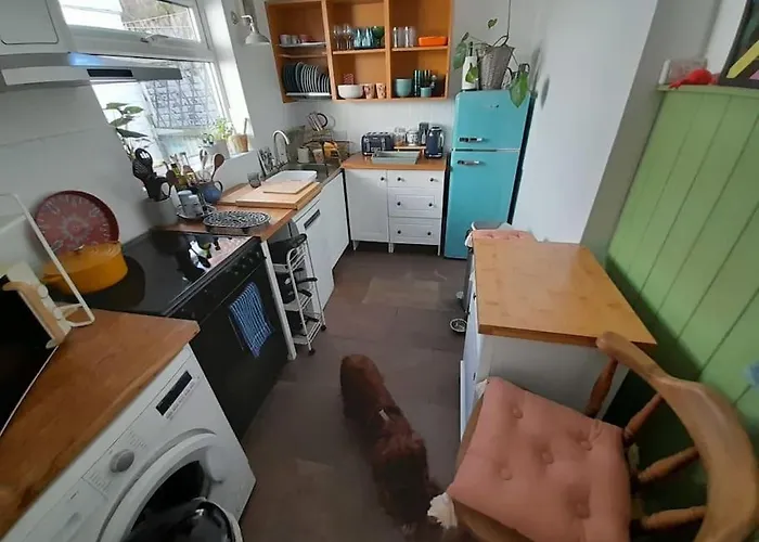 Edie's Hideaway 펜션 *