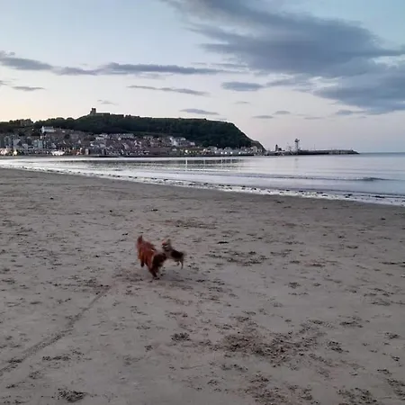 Edie's Hideaway Semesterbostad Scarborough